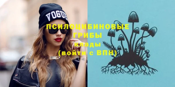 гидропоника Михайлов