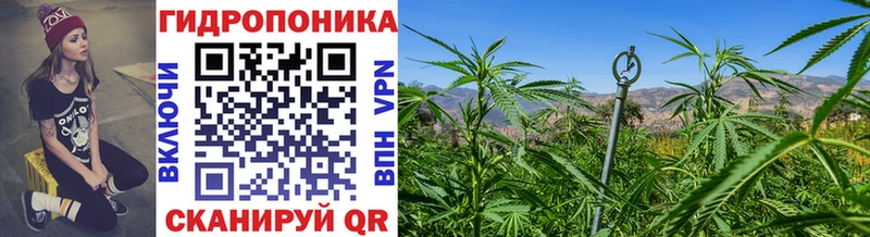 МАРИХУАНА гибрид  Купить где  Тольятти 